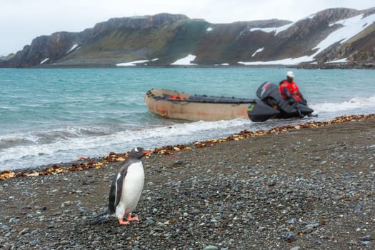 Beautiful landscape and scenery in Antarctica. Freezing