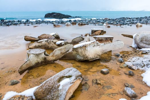 Beautiful landscape and scenery in Antarctica. Freezing