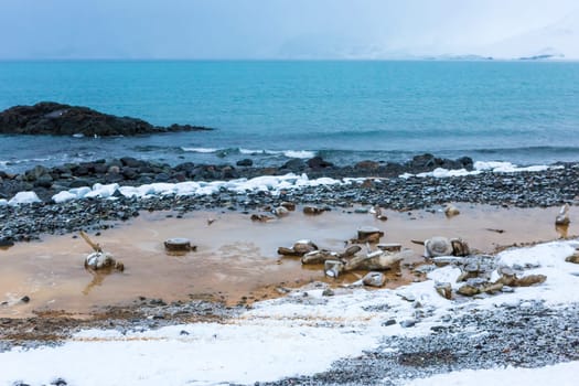 Beautiful landscape and scenery in Antarctica. Freezing