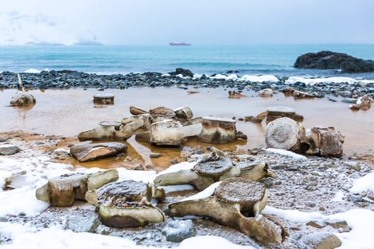 Beautiful landscape and scenery in Antarctica. Freezing