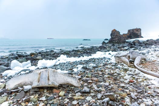 Beautiful landscape and scenery in Antarctica. Freezing