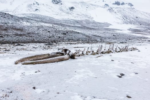 Beautiful landscape and scenery in Antarctica. Freezing
