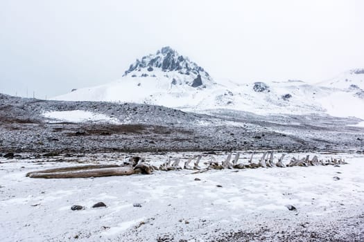 Beautiful landscape and scenery in Antarctica. Freezing