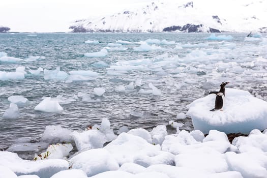 Beautiful landscape and scenery in Antarctica. Freezing