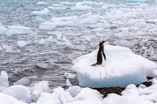 Beautiful landscape and scenery in Antarctica. Freezing