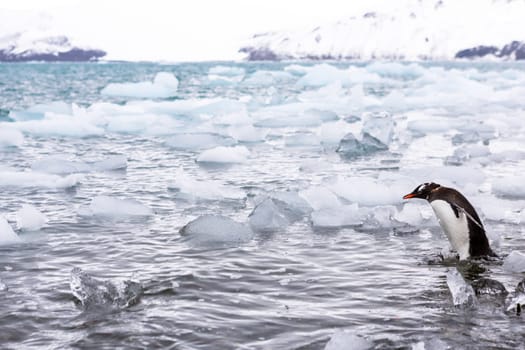Beautiful landscape and scenery in Antarctica. Freezing