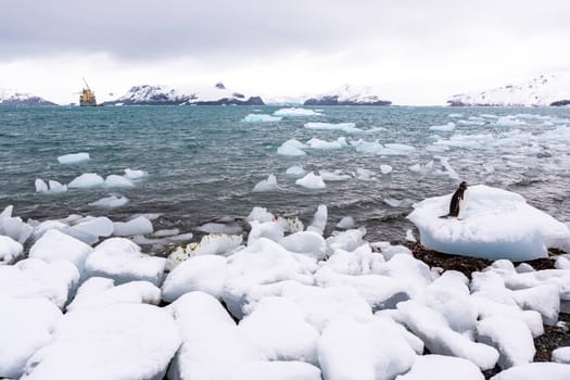 Beautiful landscape and scenery in Antarctica. Freezing