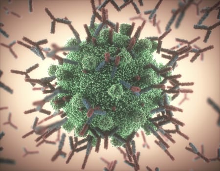 Immunological system, antibodies attacking the virus covid-19. 3D illustration, concept of the body's defense system. Y-shaped antibody attacking the coronavirus.