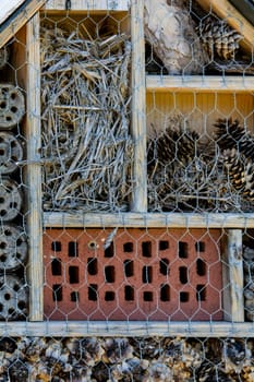 bee hotel