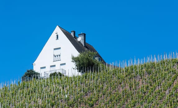 house landscape moselle germany
