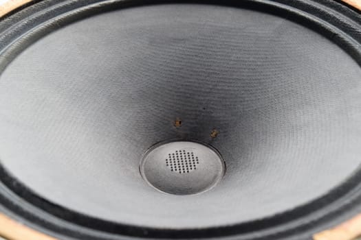 Antique Soviet woofer 5gd-3 from vintage acoustics Symphony.