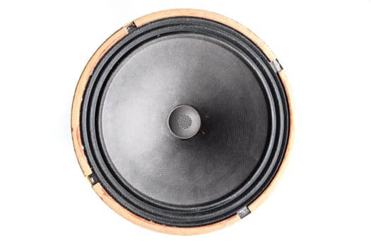 Antique Soviet woofer 5gd-3 from vintage acoustics Symphony.