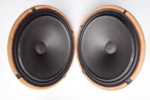 Antique Soviet woofer 5gd-3 from vintage acoustics Symphony.