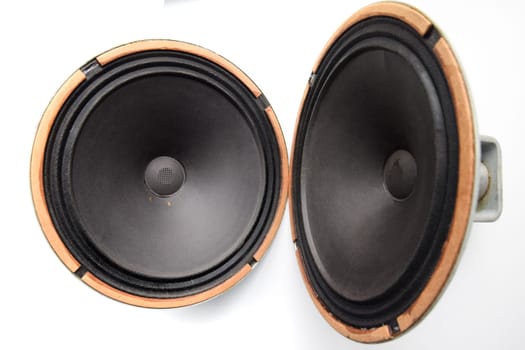 Antique Soviet woofer 5gd-3 from vintage acoustics Symphony.