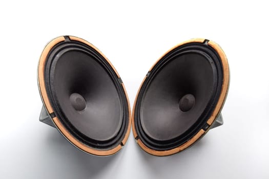Antique Soviet woofer 5gd-3 from vintage acoustics Symphony.