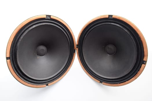 Antique Soviet woofer 5gd-3 from vintage acoustics Symphony.