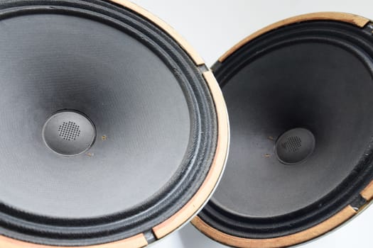 Antique Soviet woofer 5gd-3 from vintage acoustics Symphony.