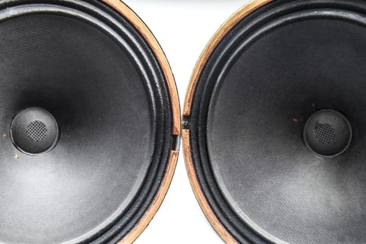 Antique Soviet woofer 5gd-3 from vintage acoustics Symphony.