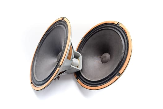 Antique Soviet woofer 5gd-3 from vintage acoustics Symphony.