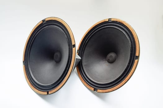 Antique Soviet woofer 5gd-3 from vintage acoustics Symphony.