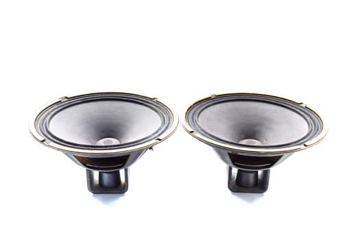 Antique Soviet woofer 5gd-3 from vintage acoustics Symphony.