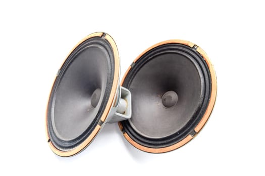 Antique Soviet woofer 5gd-3 from vintage acoustics Symphony.