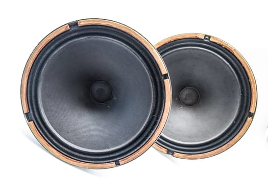 Antique Soviet woofer 5gd-3 from vintage acoustics Symphony.