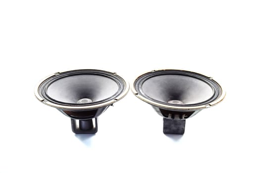 Antique Soviet woofer 5gd-3 from vintage acoustics Symphony.