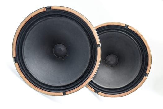 Antique Soviet woofer 5gd-3 from vintage acoustics Symphony.
