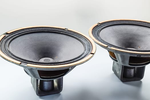 Antique Soviet woofer 5gd-3 from vintage acoustics Symphony.