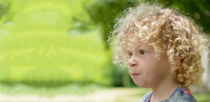 a portrait of a little boy with blond curly hair