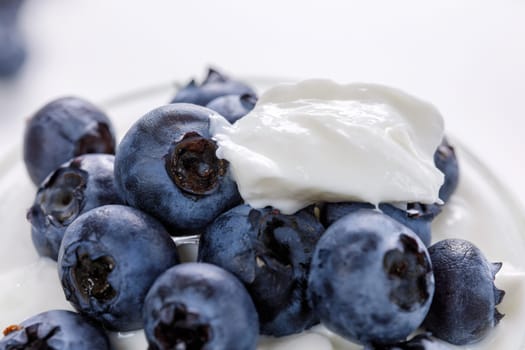 Thick yogurt garnished with fresh blueberries, light breakfast close-up