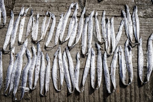 Fish is dryiing on the ground at river port in Chittagong, Bangladesh