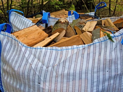 freshly chopped fuel-wood in a bag in a forest