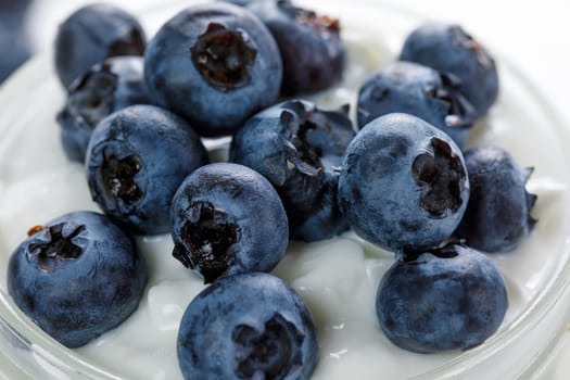 Ripe blueberries decorate yogurt, close up, healthy breakfast