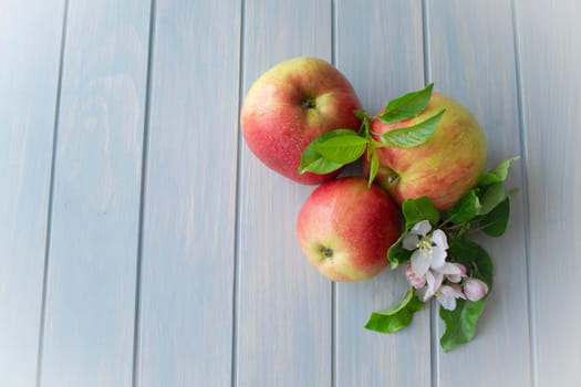 apples with leaf and flowers top view on a blue wooden background with copy space