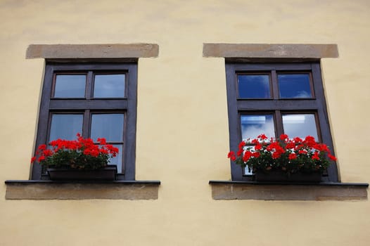 Windows with flowers on medieval house in Levoca, Slovakia