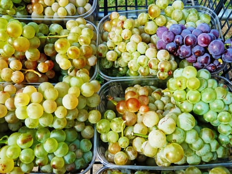 Grapes on sale in outdoor market