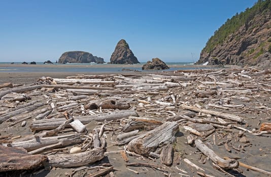 Driftwood and Sea Stacks on a Remote Whales Head Beach in Oregon