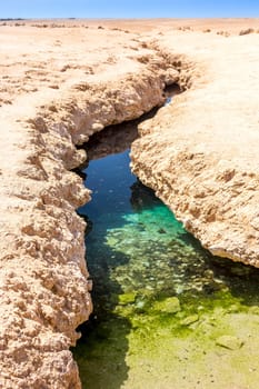 Ras Mohamed National Park in Egypt. Africa.