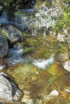 Stream in High Tatras Mountains in Slovakia