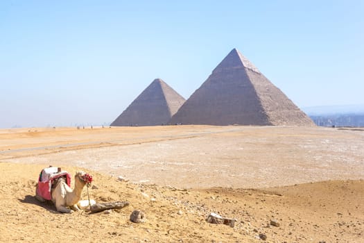 The pyramids at Giza in Egypt