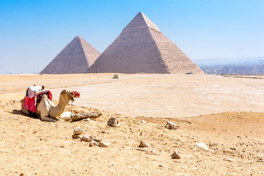 The pyramids at Giza in Egypt