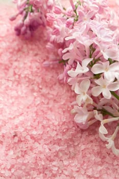 Lilac flower and bath pink salt flat lay background, tender background for wedding card