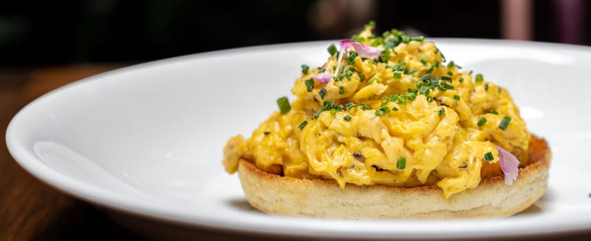 Panoramic web banner crop of Scramble Egg with Truffle mushroom oil, international gourmet cuisine traditional breakfast of europe. Restaurant gastronomy food and drink consumerism concept.