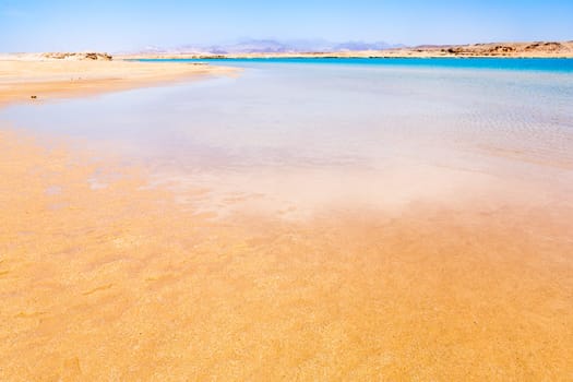 Ras Mohamed National Park in Egypt. Africa.