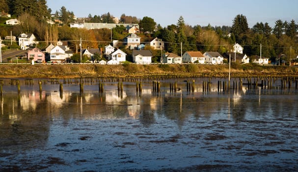 Old pilings fill the bay in Astoria