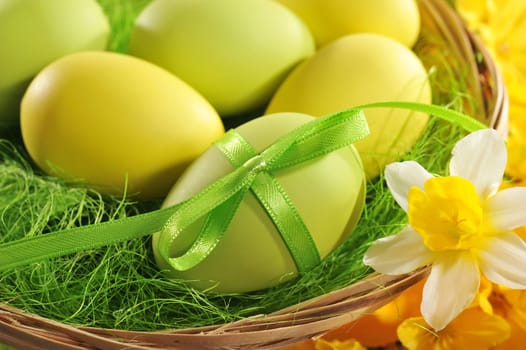 Easter basket with coloured Easter eggs,green bow and daffodils