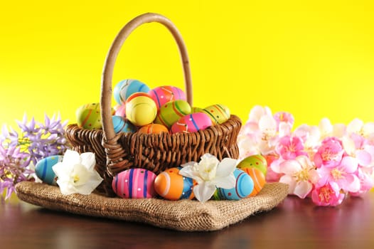 Easter nest with many painted Easter eggs and daffodils