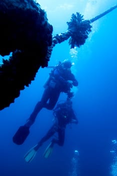 two scuba divers swimming in tropical blue water